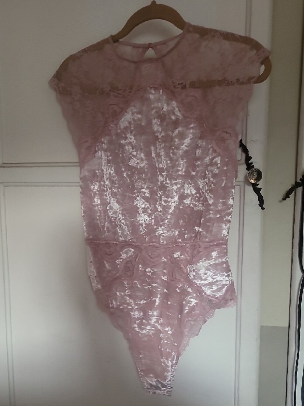 Velvet Lace Bodysuit in Mauve Pink - Picture 6 of 7